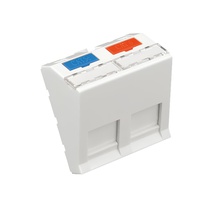 Изображение товара Ecoplast Модуль адаптер (лицевая панель) роз. информ., 45x45, RJ-2 входа наклон, бел., LK45