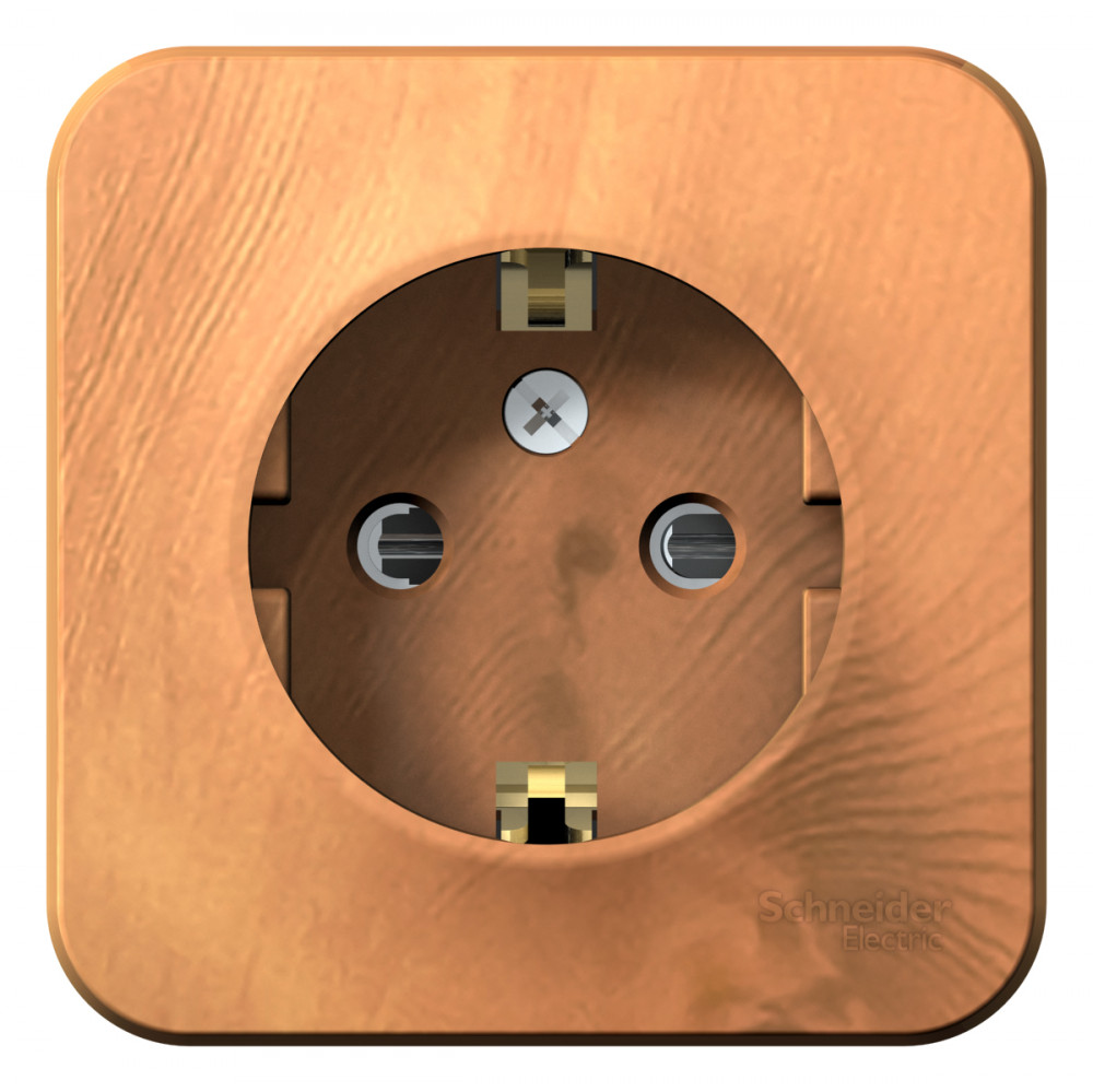 Изображение товара Systeme Electric Blanca наруж Ясень Розетка с/з со шторками, 16А, 250В