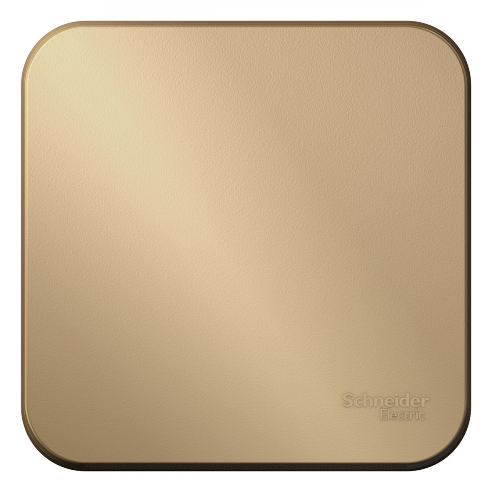 Изображение товара Systeme Electric Blanca наруж Титан Выключатель 1-клавишный 10А, 250B, изолир. пластина