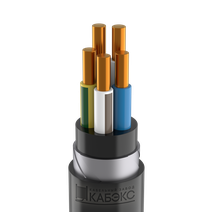 Изображение товара Кабель силовой бронированный ВБШвнг(А) -LS 5х10 ок-0,66 Кабэкс Изображение товара Кабель силовой бронированный ВБШвнг(А) -LS 5х10 ок-0,66 Кабэкс