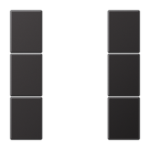 Изображение товара JUNG Набор накладок 3 группы, Dark