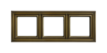 Изображение товара JUNG EcoProfi DECO Антик Рамка 3-ая