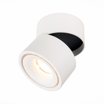 Изображение товара ST LUCE  ST652.532.12 Светильник потолочный Белый LED 1*12W 3000K 1 000Lm Ra>90 36о IP20 D100xH105 170-240VV
