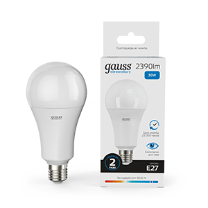 Изображение товара Gauss Лампа Elementary A67 30W 2390lm 6500K E27 LED