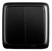 Изображение товара HEGEL ВА10-153-08 Черный Выключатель открытой установки, двухклавишный, с изолирующей пластиной