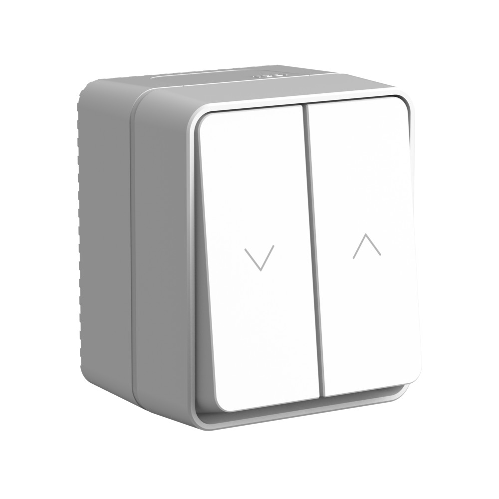 Изображение товара Systeme Electric AtlasDesign Profi54 Наруж Серый Выключатель 2-клавишный для жалюзи, 2хсх.4