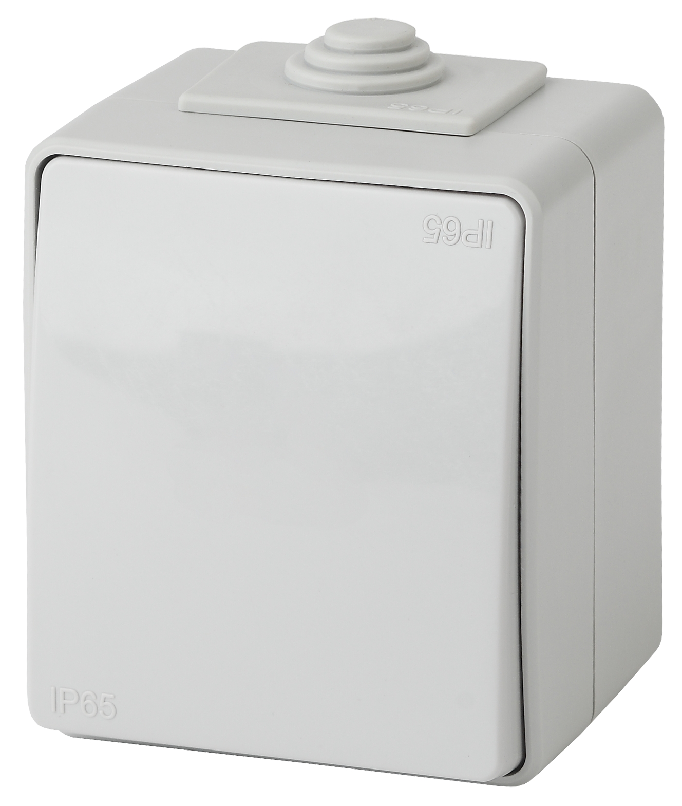 Изображение товара ЭРА Выключатель Эксперт 11 1601 03 IP65 10А 250В серый накладной 1 клавиша