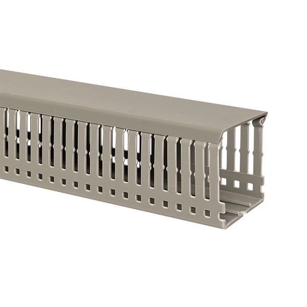 Изображение товара EKF Канал кабельный перфорир. (ВхШ 100х80мм).