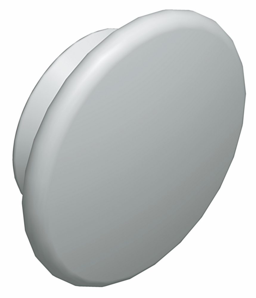 Изображение товара Защитные колпачки Sarel для боковых панелей Schneider Electric Изображение товара Защитные колпачки Sarel для боковых панелей Schneider Electric