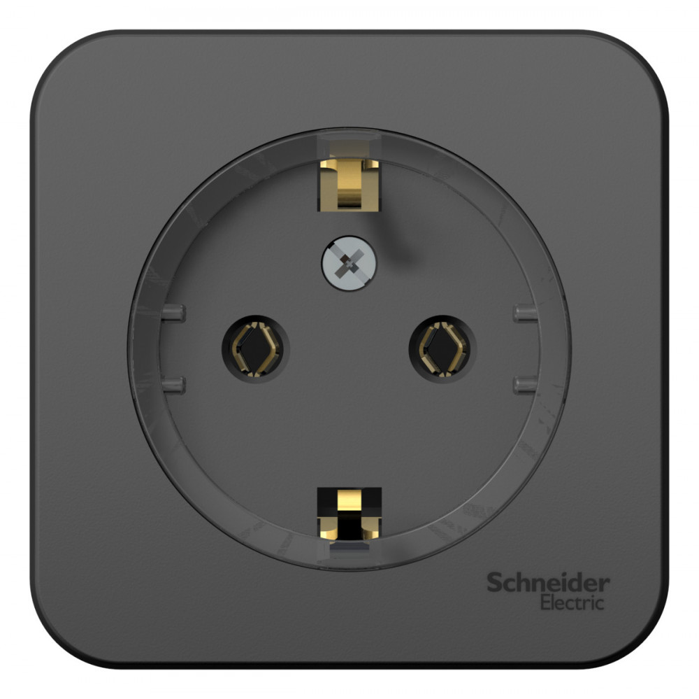 Изображение товара Розетка Blanca Systeme Electric Антрацит открытой установки 1 розетка 250В 16A