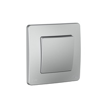 Изображение товара Systeme Electric Blanca внутр Алюминий Переключатель 1-клавишный IP44, 10A, 250В