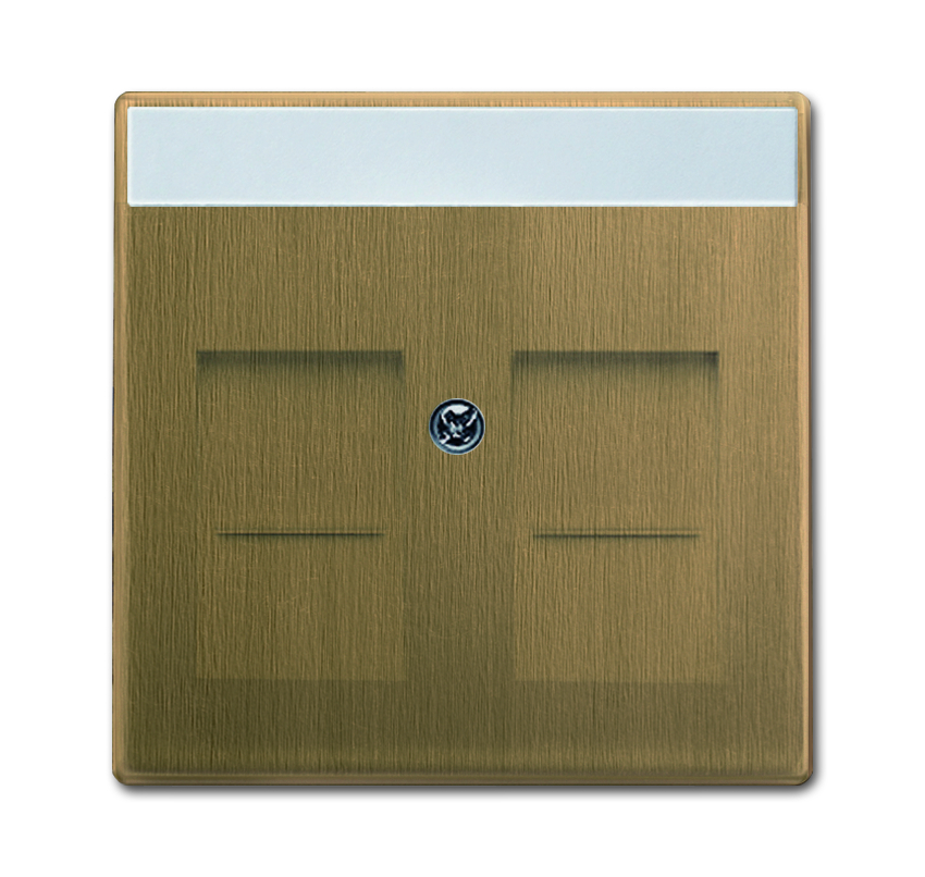 Изображение товара ABB BJE Династия Античная латунь Накладка комм. роз. 1810, 1812, 1814, 1816 и 1818, с полем надписи