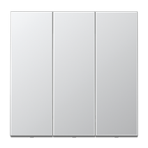 Изображение товара JUNG Алюминий Клавиша 3-ая для трёхклавишного переключателя арт. 5306EU