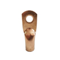 Изображение товара ЗЭТАРУС Наконечник медный Т 70-10-13