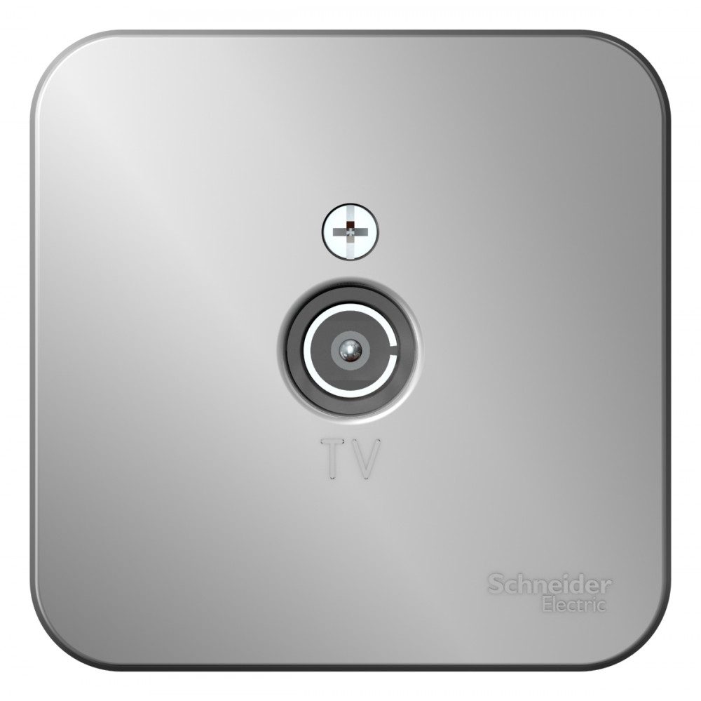 Изображение товара Systeme Electric Blanca наруж Алюминий Розетка TV, изолир. пластина