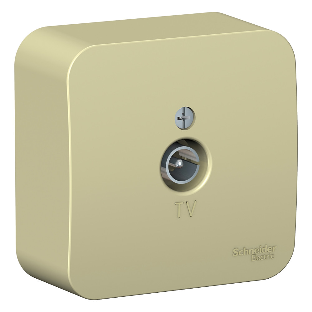 Изображение товара Systeme Electric Blanca наруж Беж Коннектор TV изолир. пластина