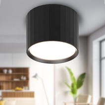 Изображение товара ЭРА Светильник настенно-потолочный спот OL39 BK под GX53 IP20 черный