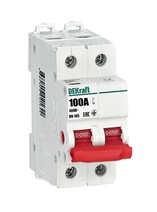 Изображение товара Выключатель-разъединитель Dekraft ВН-105 2Р 100А