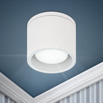 Изображение товара ЭРА Светильник настенно-потолочный спот WL40 WH GX53, белый, IP54