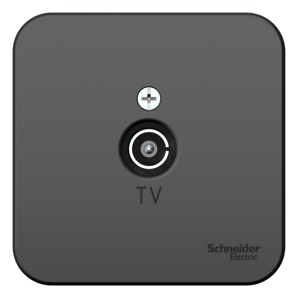 Изображение товара Systeme Electric Blanca наруж Антрацит Розетка TV, изолир. пластина