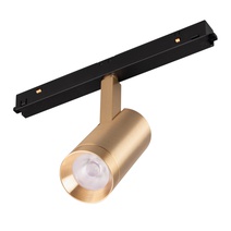 Изображение товара Arlight Светильник MAG-ORIENT-SPOT-R45-12W Warm3000 (GD, 24 deg, 48V) (IP20 Металл, 3 года)