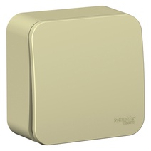 Изображение товара Systeme Electric Blanca наруж Беж Выключатель 1-клавишный (cх.1) изолир. пластина 10А, 250B