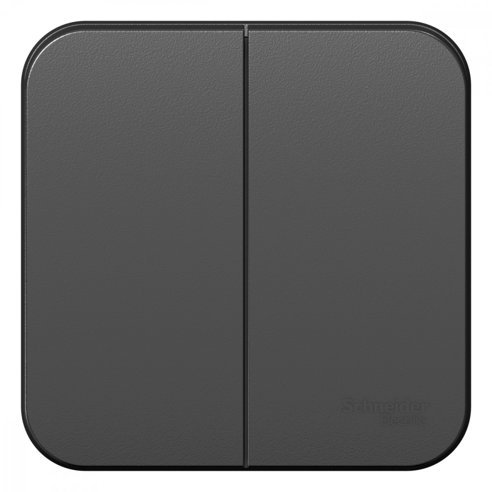 Изображение товара Выключатель 2 клавиши Blanca антрацит 250В 10А открытой установки