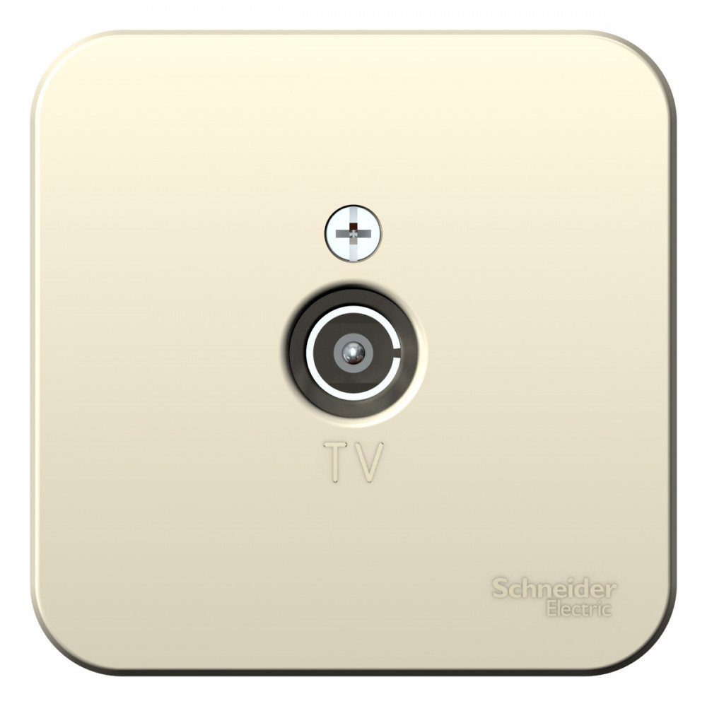 Изображение товара Systeme Electric Blanca наруж Молочная Розетка TV, изолир. пластина