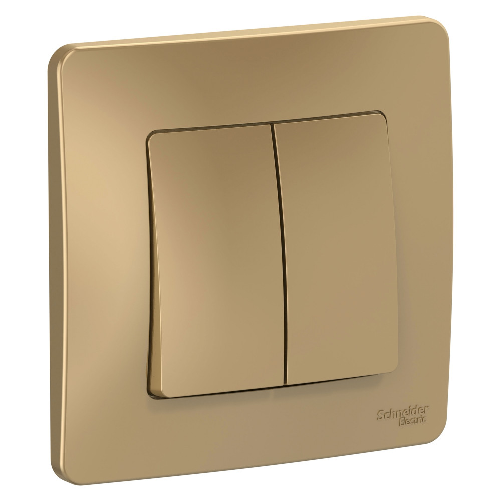 Изображение товара Blanca двойной переключатель 2-клавишный титановый 250 В 10 А