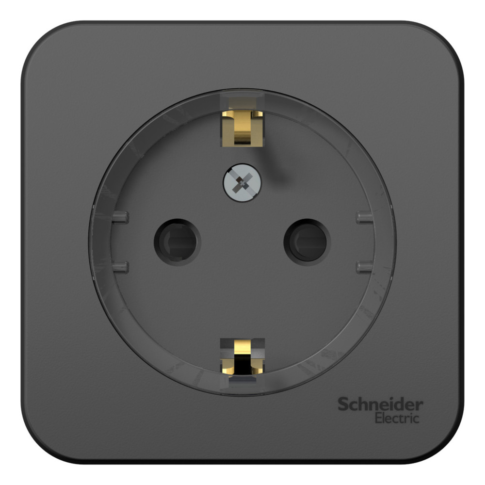 Изображение товара Розетка с заземлением Systeme Electric Blanca антрацит 16А 250В с шторками