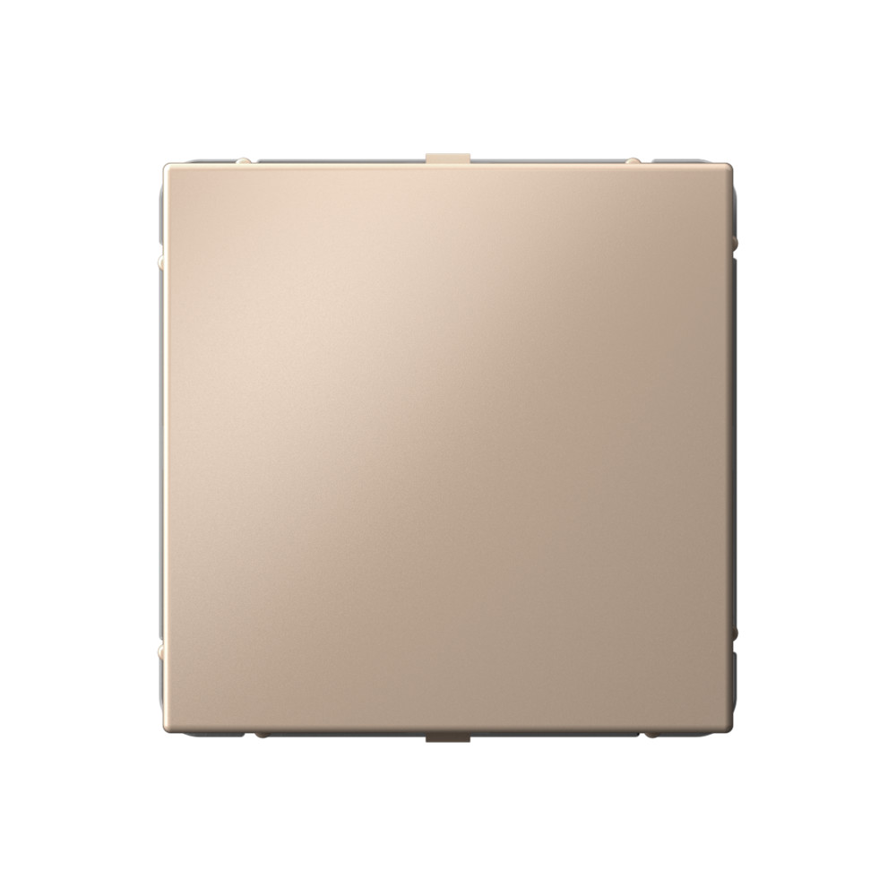 Изображение товара Systeme Electric ArtGallery Песочный Заглушка без суппорта для многопостовых рамок