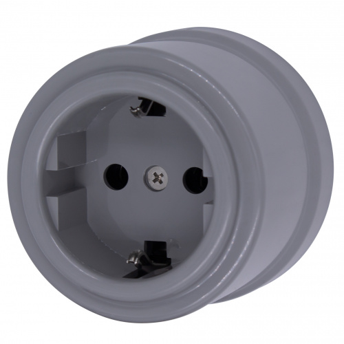 Изображение товара BIRONI Лизетта Пластик Титан Розетка с/з