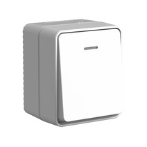 Изображение товара Systeme Electric AtlasDesign Profi54 Наруж Серый Выключатель 1-клавишный с подсветкой 10 АХ
