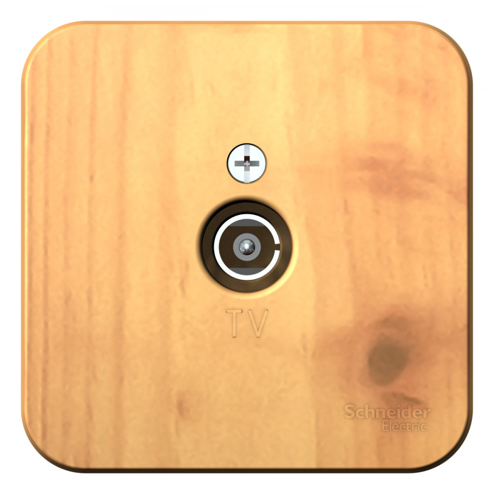 Изображение товара Розетка телевизионная Blanca Systeme Electric Ясень с изоляционной пластиной