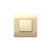 Изображение товара Chint (NEW3-E) Переключатель 1-клавишный, 10А, шампань