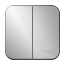 Изображение товара Systeme Electric Blanca наруж Алюминий Выключатель 2-клавишный, 10А, 250B