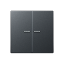 Изображение товара JUNG матовый антрацит накладка для сдвоенных выключателей