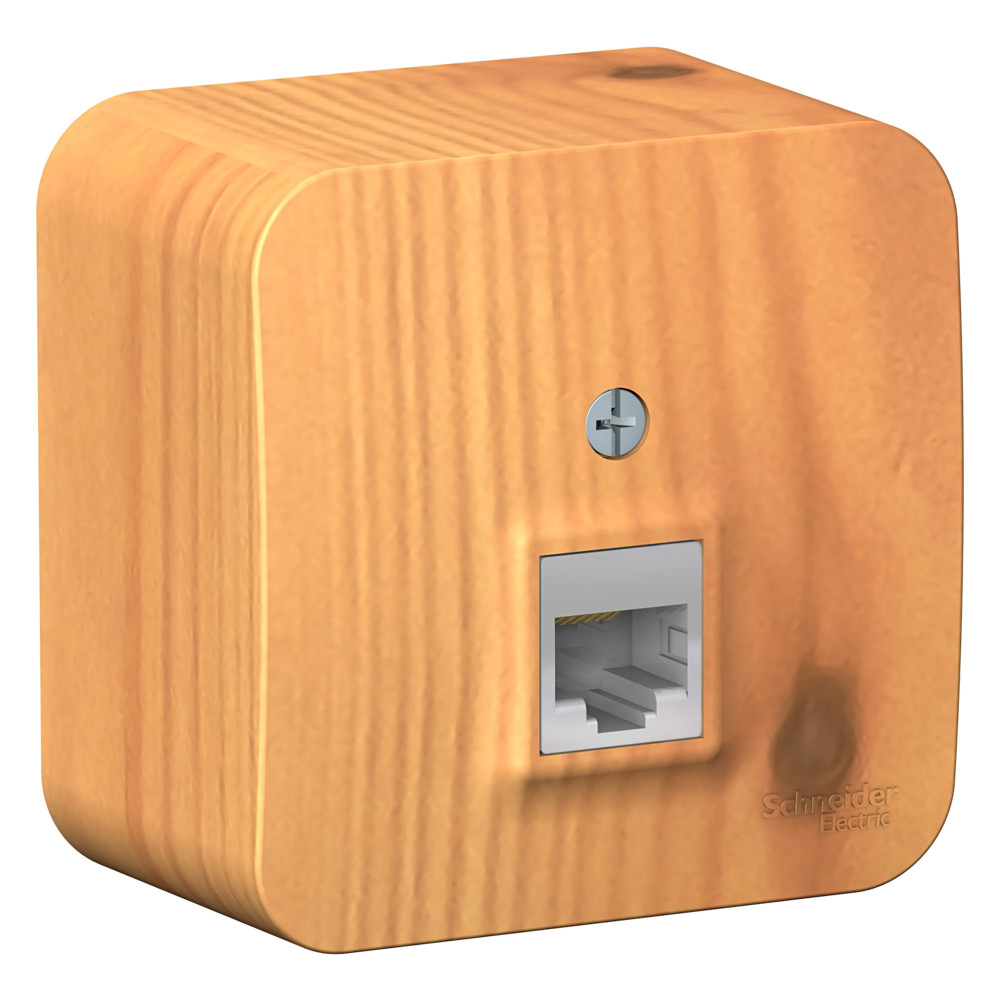 Изображение товара Systeme Electric Blanca наруж Ясень Розетка компьютерная RJ45, кат.5E, изолир. пластина