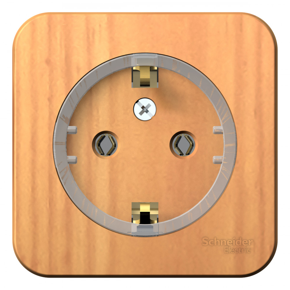 Изображение товара Systeme Electric Blanca наруж Ясень Розетка с/з без шторок, (тонкая), 16А, 250В