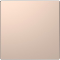 Изображение товара Schneider Electric Merten D-Life Шампань Клавиша 1-ая