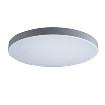 Изображение товара LOFT IT 10002/48 White Светильник потолочный Axel, шт
