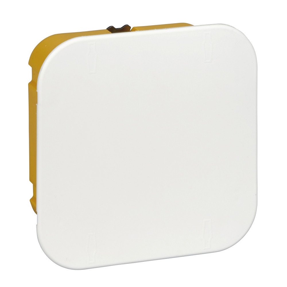 Изображение товара Systeme Electric Коробка распределительная для полых стен 100X100X50