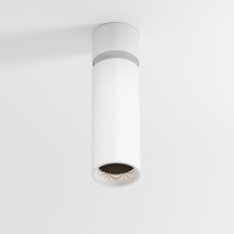 Изображение товара GREENTECH-TULIP-S-D65-9W 3000K — накладной светильник Briaton