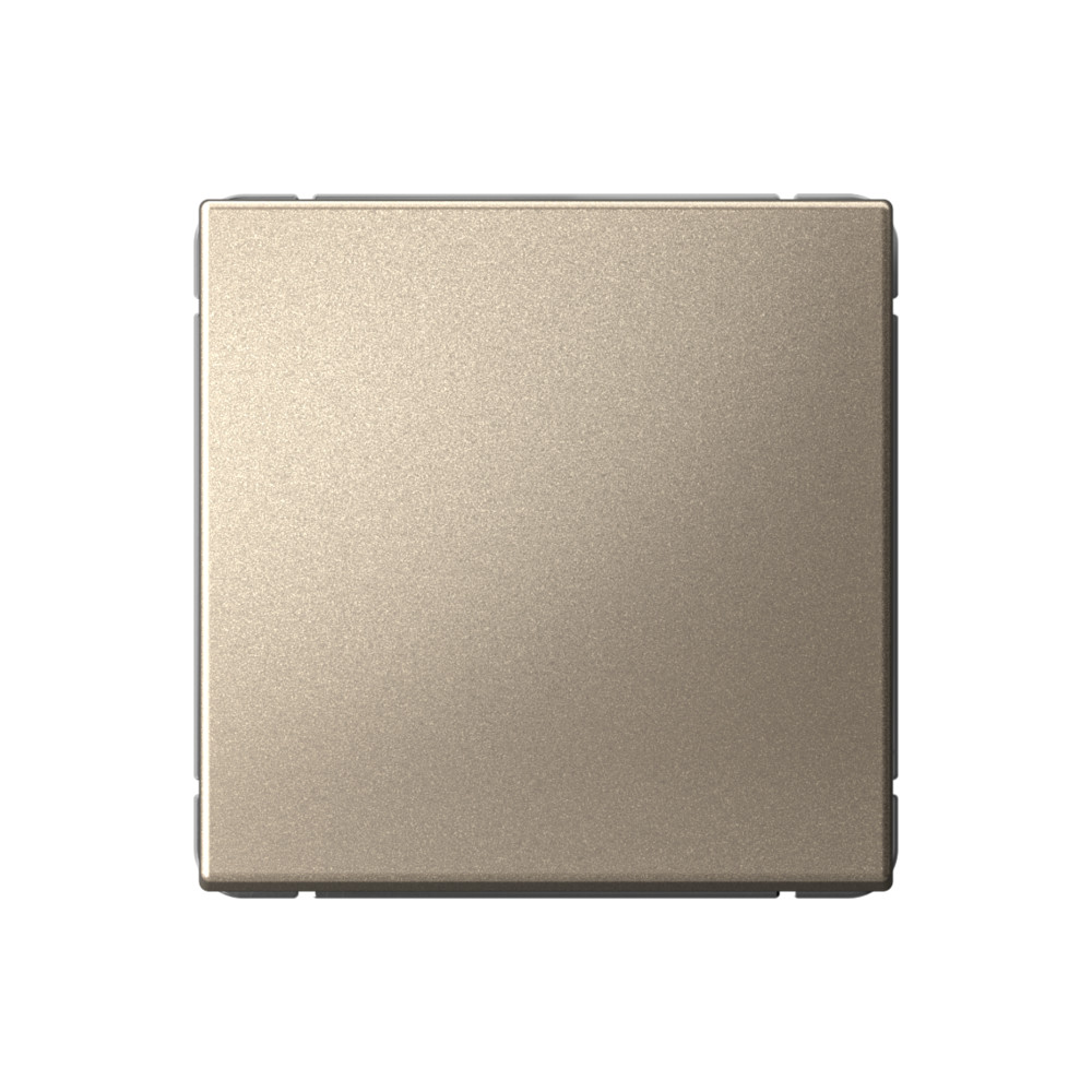 Изображение товара ArtGallery шампань перекрёстный 1 клавиша — стильный выключатель 10 А