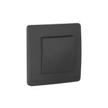 Изображение товара Systeme Electric Blanca внутр Антрацит Переключатель 1-клавишный IP44, 10A, 250В