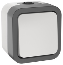 Изображение товара IEK TORS Выключатель кнопочный 10А IP55 TS210 белый