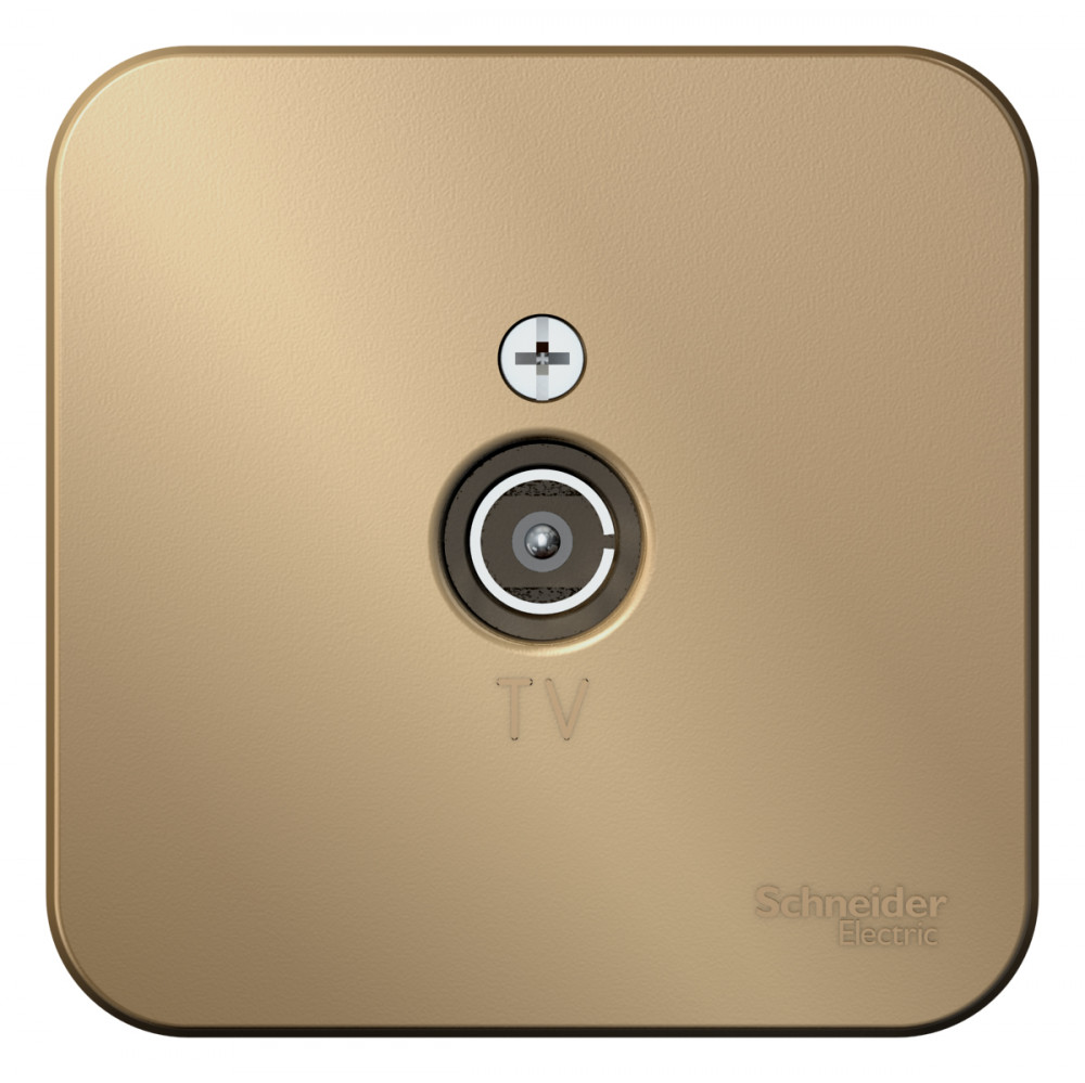 Изображение товара Systeme Electric Blanca наруж Титан Розетка TV, изолир. пластина