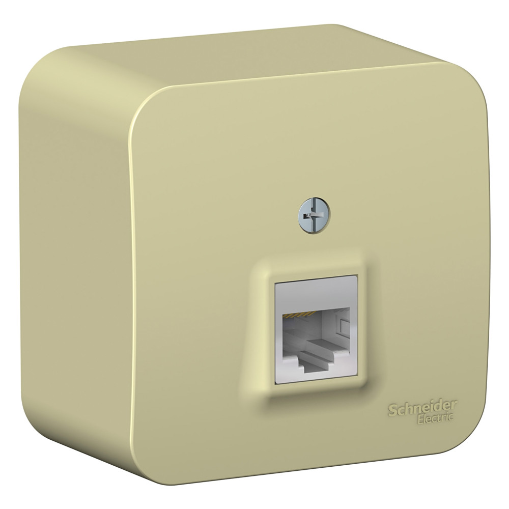 Изображение товара Systeme Electric Blanca наруж Беж Розетка компьютерная RJ45, кат.5E, изолир. пластина