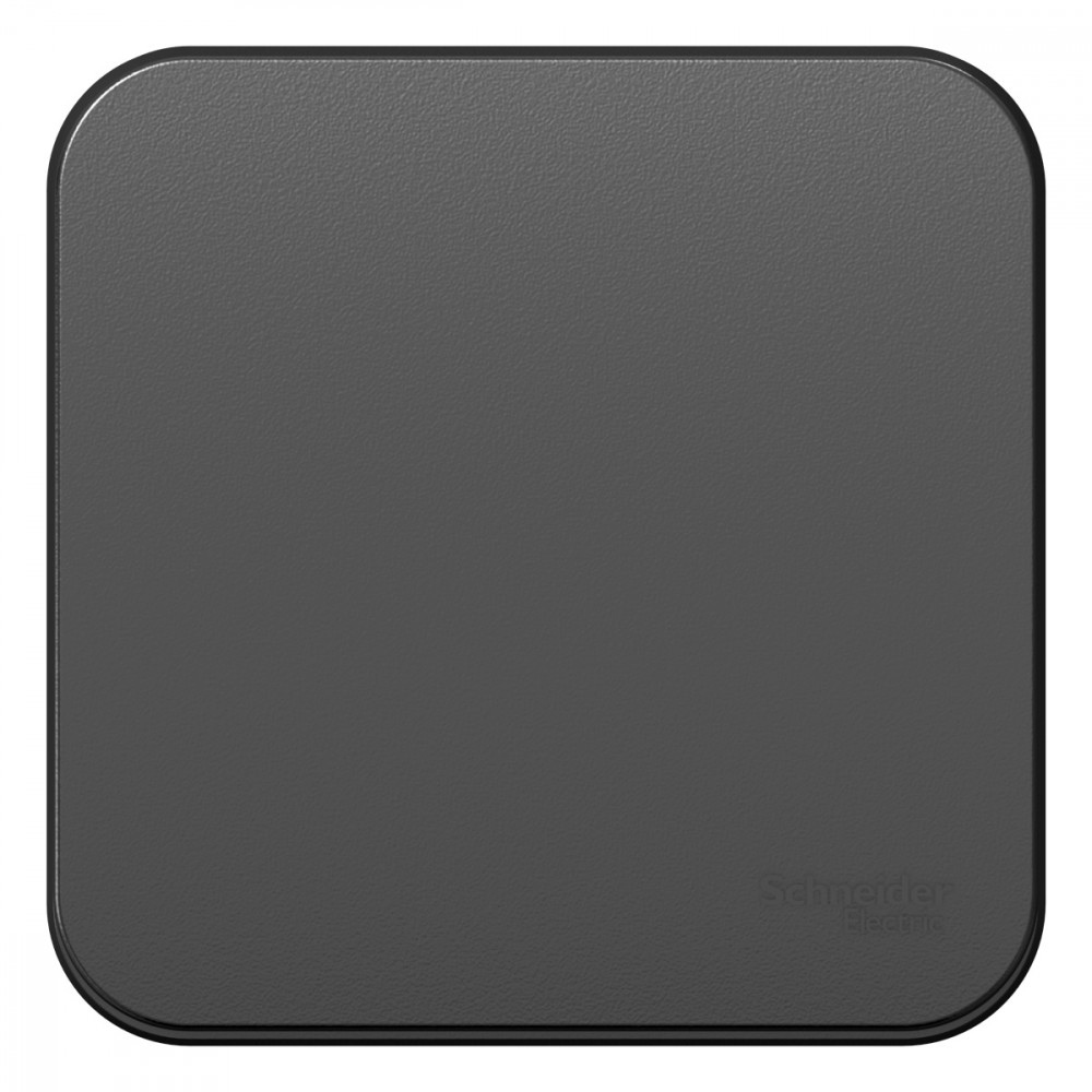 Изображение товара Systeme Electric Blanca наруж Антрацит Выключатель 1-клавишный 10А, 250B, изолир. пластина