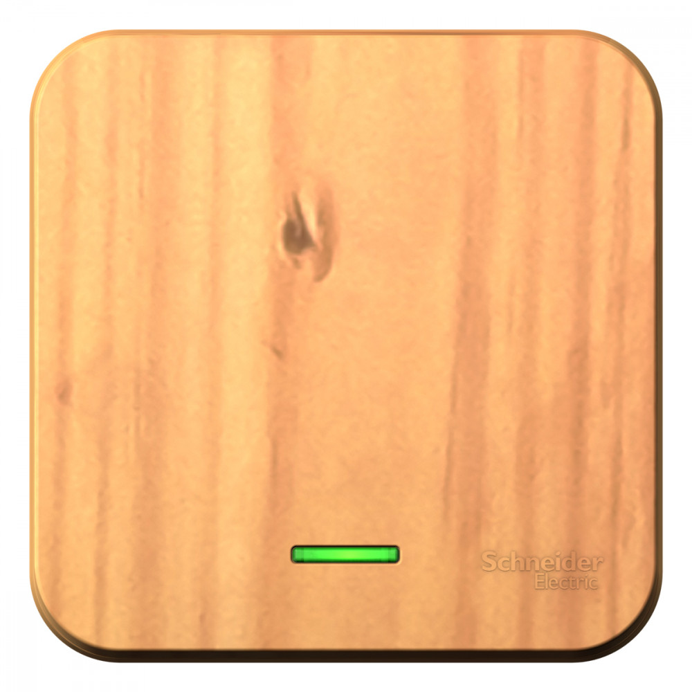 Изображение товара Systeme Electric Blanca наруж Ясень Выключатель 1-клавишный с подсветкой 10А,250B, изолир. пластина